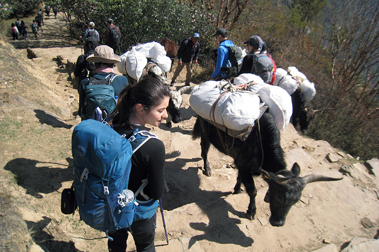 Everest base camp trek Packing List
