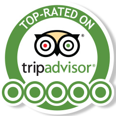 Guest Review